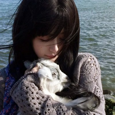 家有猩猩宝贝
