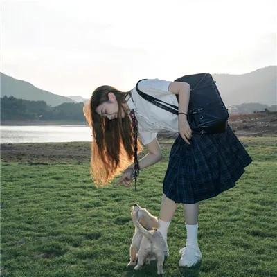寻狗启事